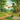 Dingerz Blogs: What is Disc Golf?
